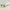 Harding Botticelli Sonnenbrille