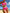 WW | Bikini Fleur - Elegant und Sexy