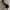 WW | Minirock mit Hoher Taille