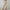 WW | Stylische, Legere und Elegante Hosen