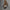 WW | Zeitlos Bare Back Kleid Camisole Kleid