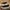 WW | Lässig Slipper Sneakers Für Herren
