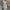 WW | Stilvolles und bequemes Kleid