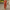 WW | Set Weite Hose Frau