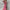 WW | Elegantes Langärmeliges Maxikleid mit Blumenmuster