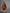 WW | Zeitlos Bare Back Kleid Camisole Kleid