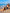 WW | Wrap Halterneck Bikini Satz Criss Cross Zwei Teile Badeanzug
