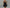 WW | Kurzes Partykleid Mit Glitzer