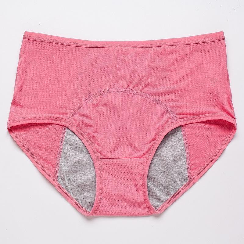 WW | Alldry Auslaufsichere Höschen Für Damen 3er Pack