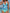 WW | Tankini Zweiteilig Blumenmuster Halterneck Triangel