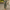 WW | Set Weite Hose Frau
