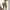 WW | Hoch taillierte Scrunch Bum Leggings für Damen
