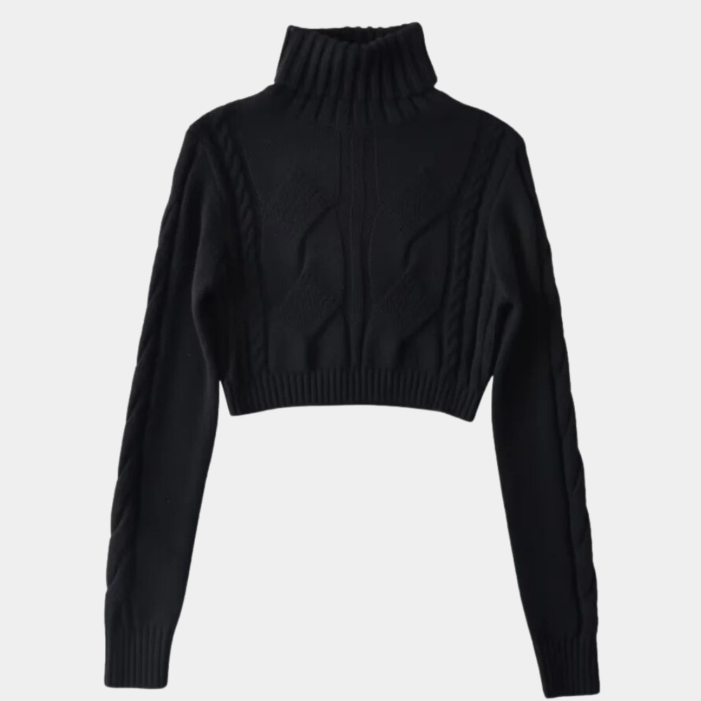 WW | Modischer Rollkragenpulli Für Damen