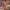 Olivia™ - BOHO Sommer Kleid