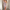 WW | Das Ultimative Party Kleid