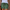 WW | Hip Kurze Hose