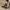 WW | Stilvolle Leder Ankle Boots mit Blockabsatz für Damen Damen Ankle Boots