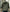 WW | Herren Taktische Sommerjacke