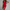 WW | Cocktailkleid für Frauen Stilvoll