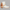 WW | Stiefeletten mit Riemendetails