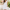 Spitzenbesticktes Kleid