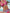 WW-Bikinis mit floralem und geometrischem Druck