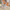 Schritte | Stilvoll und Bequem: Damen Slippers