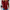 WW | Lässiger Plus Size Pullover Für Frauen