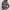Bomberjacke mit Tierprint und bequemer Passform