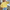 WW – Gebreid vest met knoopsluiting