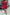 WW | Rosiedress Wrap V-Ausschnitt Taillierte Pailletten Mini Party Kleid