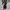 WW – Gestricktes Rollkragen-Pulloverkleid