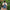 WW | aus Denim mit hoher Taille Shorts