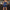 WW | Party-Ready - Kleid mit Federtasseln und Pailletten