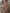 WW | Sommer Midi Kleid Mit Licht Design