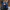 WW - Damen Leder Motorradjacke