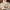 WW | Cashmere Pullover Damen V-ausschnitt Leichter und Weicher Strickpullover