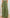 WW | Sommerverliebte Palazzo Hose