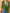 Weste Pullover