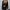 WW | Stylische Bikerjacke aus Leder für Damen