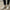 WW | Legere Herren Espadrilles