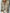 WW - Exklusive Bluse mit Spitzenverzierungen