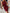 WW | Stylisches Armelloses Kleid mit Klassischem Schnitt