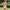 WW | Kleid mit Quadratischem Ausschnitt und Spitzenborte