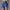 WW | Gym Sport Laufshorts Für Damen Mit Hoher Taille