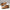 WW | Stilvolle Schuhe