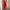 WW | Das Ultimative Party Kleid