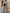 WW | Trendiges Design - High-Waist-Paillettenanzug