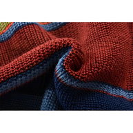 WW | Rollkragenpullover im Farbblockdesign