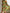 WW | Dreiteiliges Bikini-Set mit Blumen